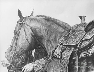 300x232 western saddle drawings - Western Saddle Drawing