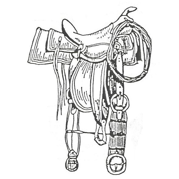 Western Saddle Drawing at Explore collection of