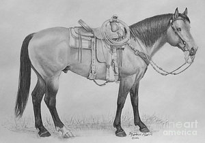 300x210 eagle drawing - Western Saddle Drawing