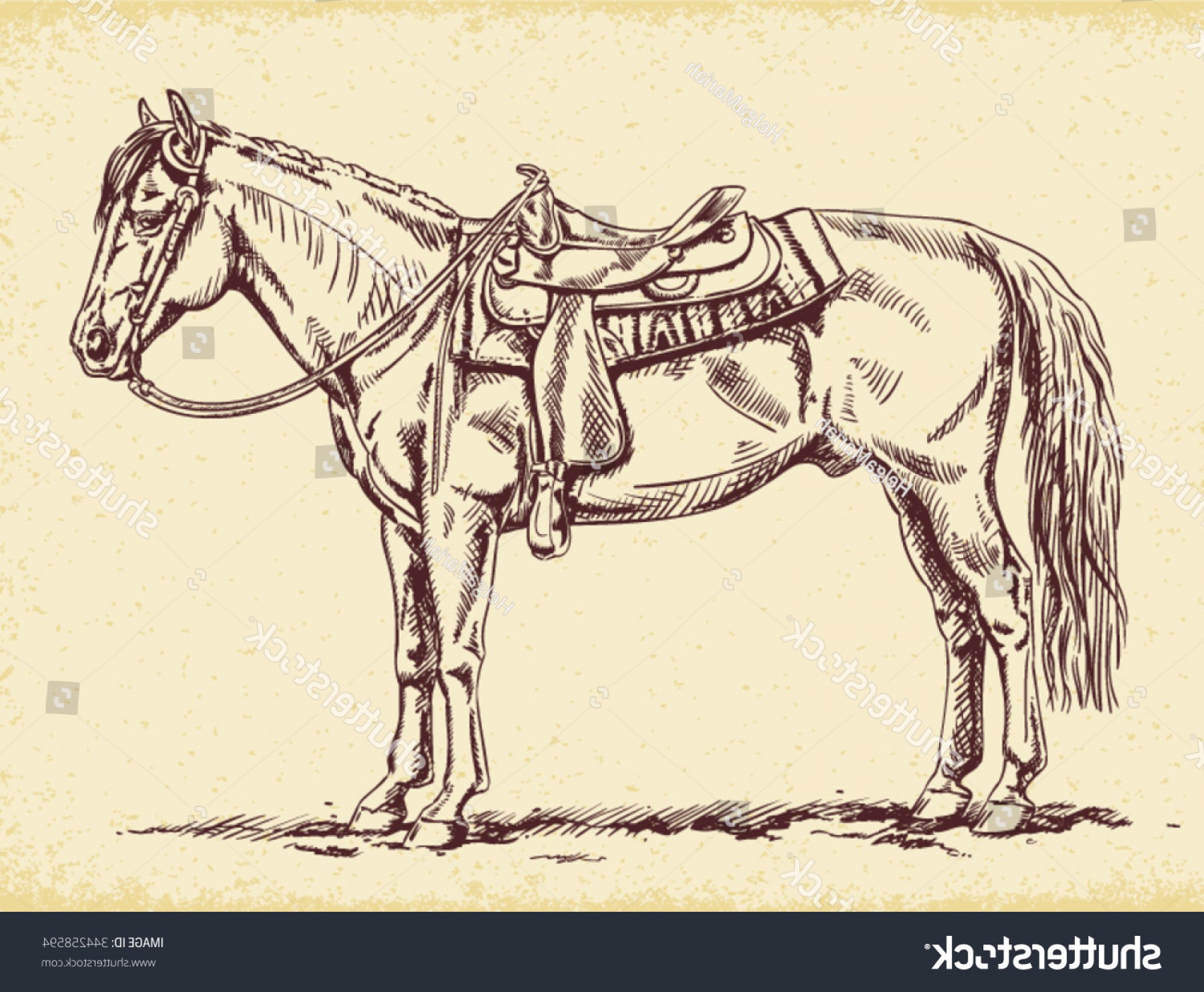 Western Saddle Drawing At Explore Collection Of