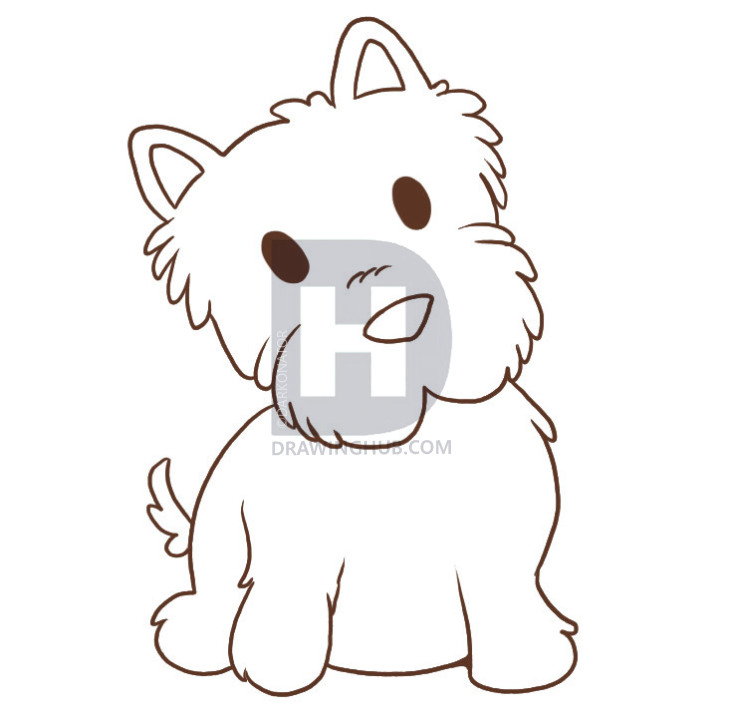 733x720 how to draw a westie, step - Westie Drawing