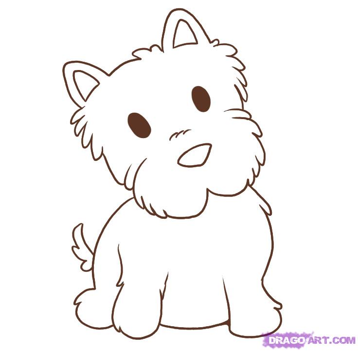 736x722 how to draw a westie, step - Westie Drawing
