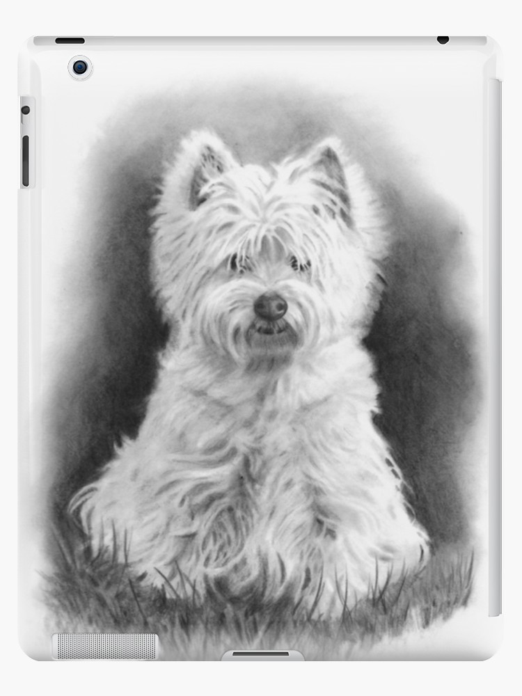 750x1000 west highland white terrier, westie dog, pencil drawing ipad - Westie Drawing