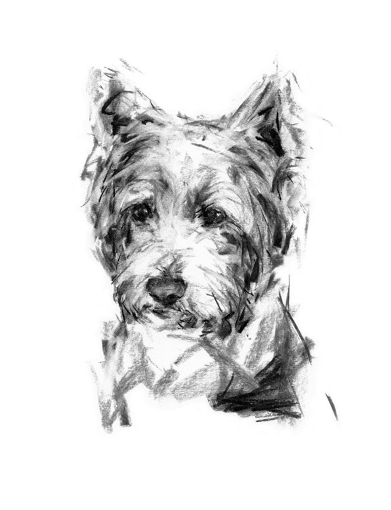 794x1035 dog drawing print westie portrait fine art dog print etsy - Westie Drawing