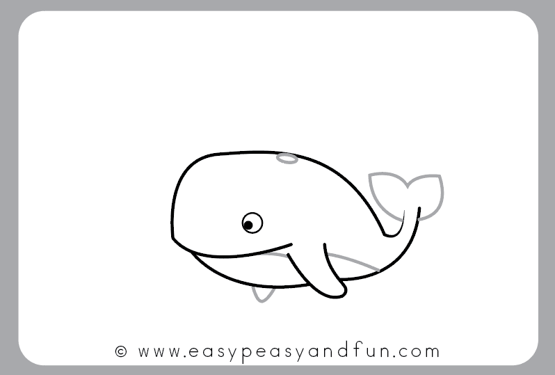 798x539 How To Draw A Whale Step - Whale Cartoon Drawing