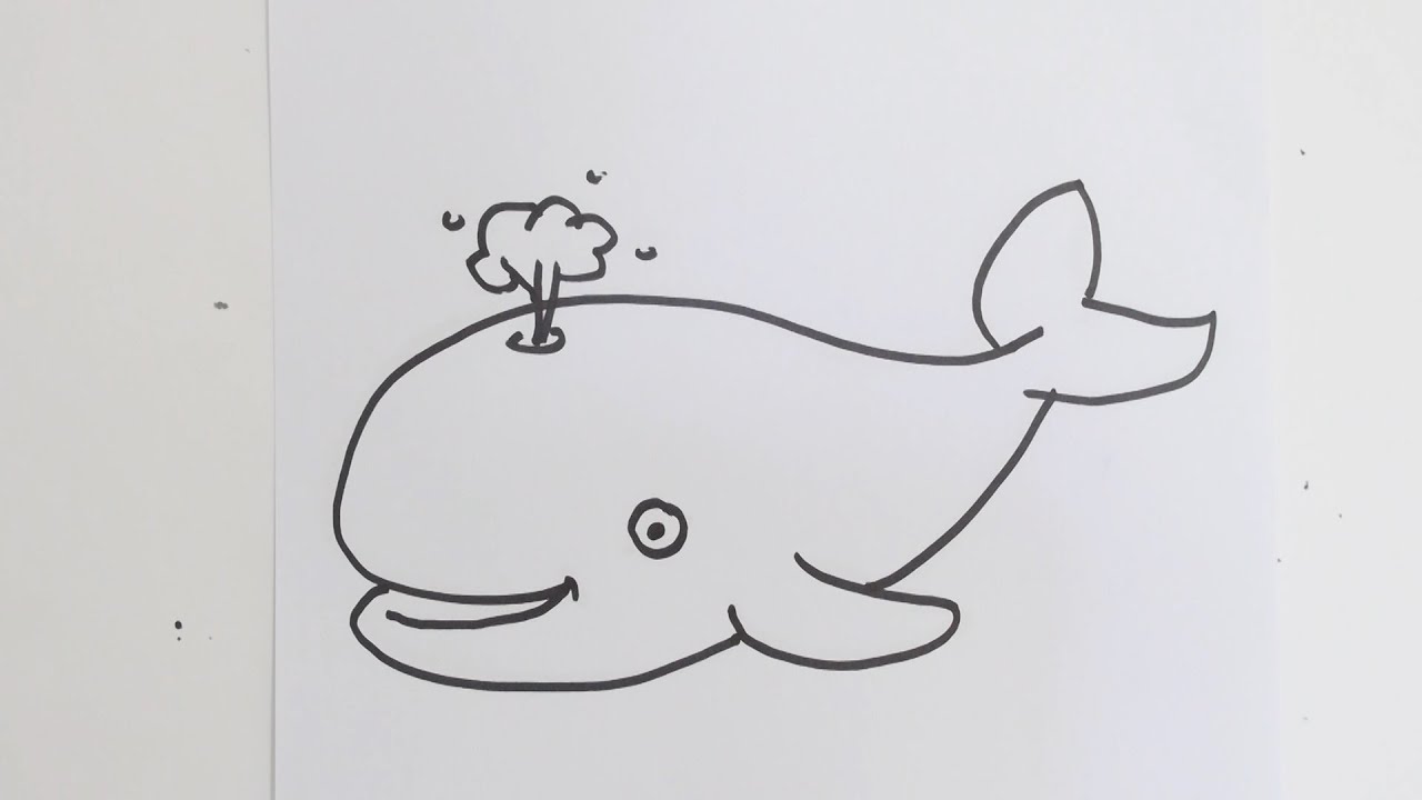 1280x720 How To Draw Cute Cartoon Whale - Whale Cartoon Drawing