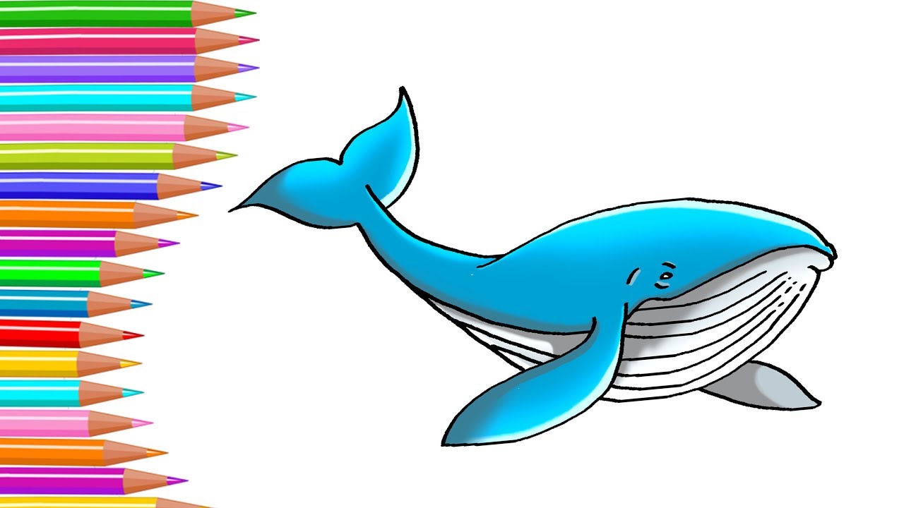 1280x720 How To Draw A Whale Step - Whale Drawing