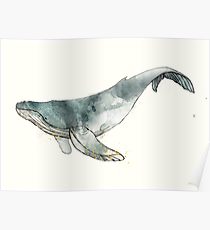 210x230 humpback whale drawing posters redbubble - Whale Drawing