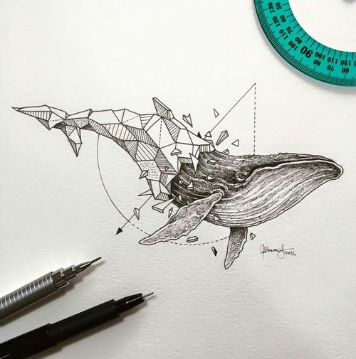 500x505 Origami Whale Discovered - Whale Drawing