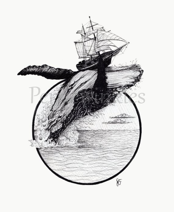 570x692 whale art whale picture whale drawing ink drawing ink etsy - Whale Drawing