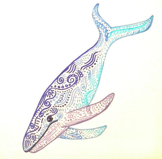 570x558 Whale Drawing Free Download - Whale Drawing