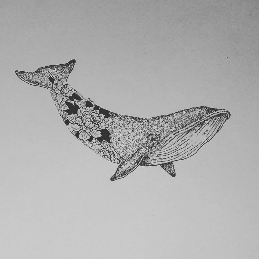 1063x1063 Whale Drawing I Did Whales - Whale Drawing