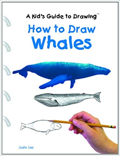386x499 How To Draw Whales - Whale Drawing