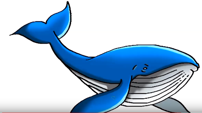 780x439 How To Draw A Blue Whale Step - Whale Drawing