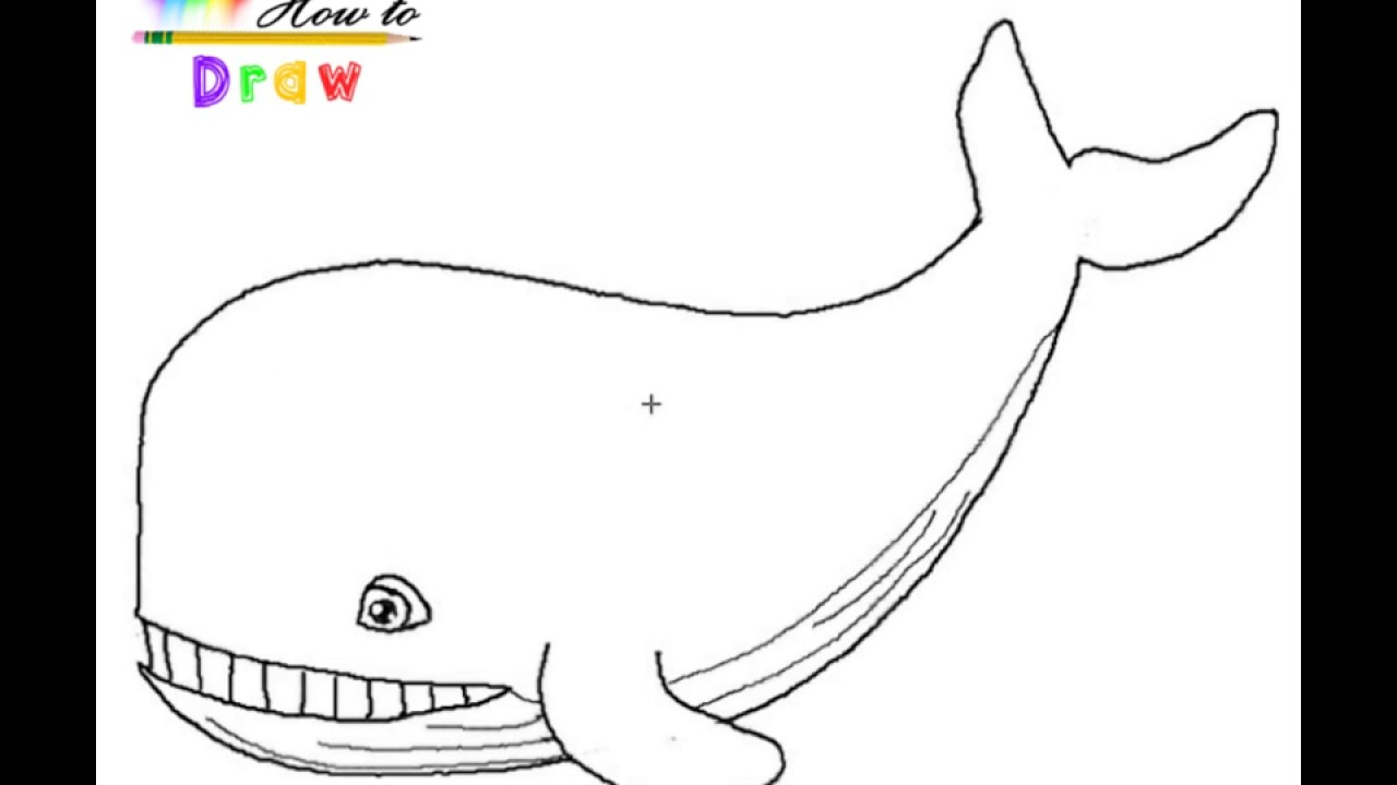 1280x720 Huge Collection Of 'cute Whale Drawing' Download More Than - Whale Drawing Cute