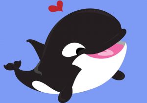 300x210 Cute Killer Whale Drawing Archives - Whale Drawing Cute
