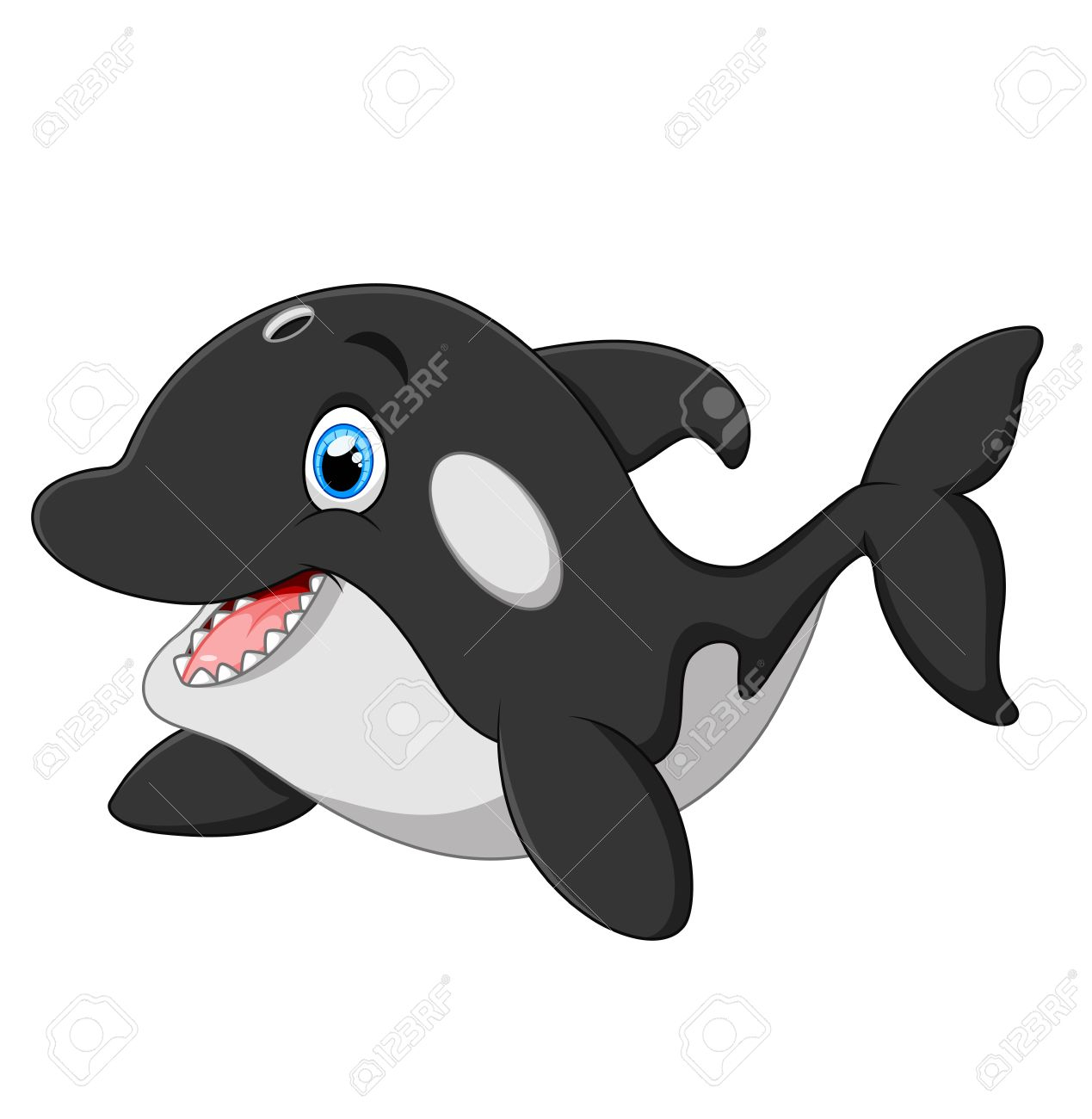 1269x1300 cute killer whale drawing cute killer whale cartoon royalty free - Whale Drawing Cute