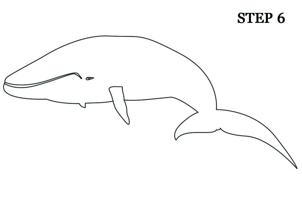 1024x720 How To Draw Whale Drawing - Whale Drawing Easy