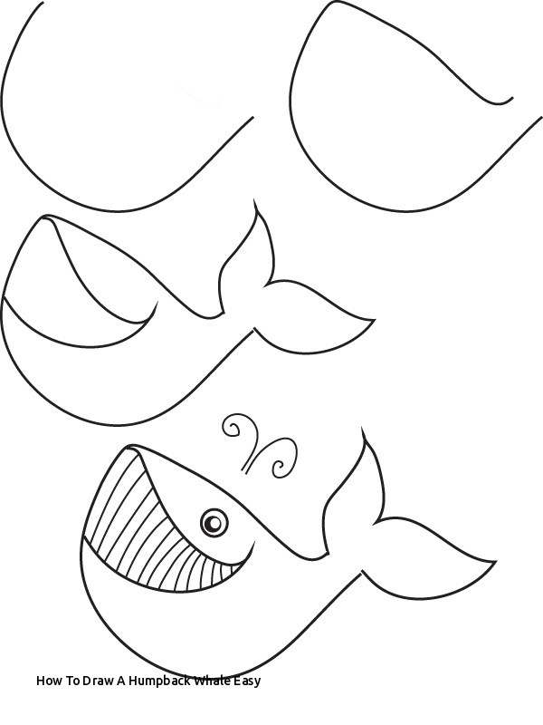 600x800 How To Draw A Humpback Whale Easy Sea Animals Drawing - Whale Drawing Easy