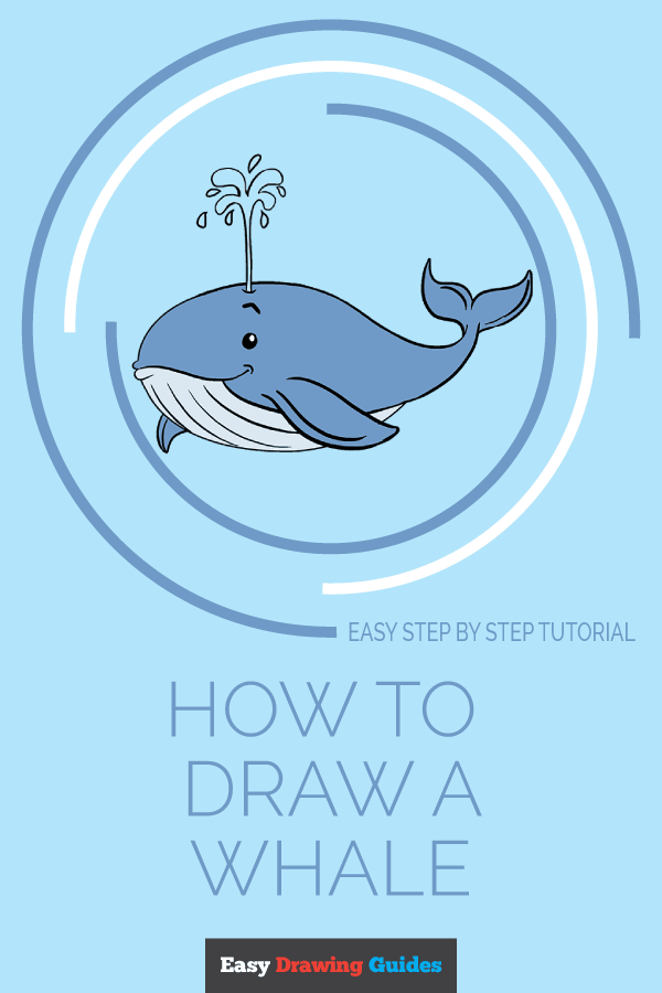600x900 how to draw a whale in a few easy steps easy drawing guides - Whale Drawing Easy