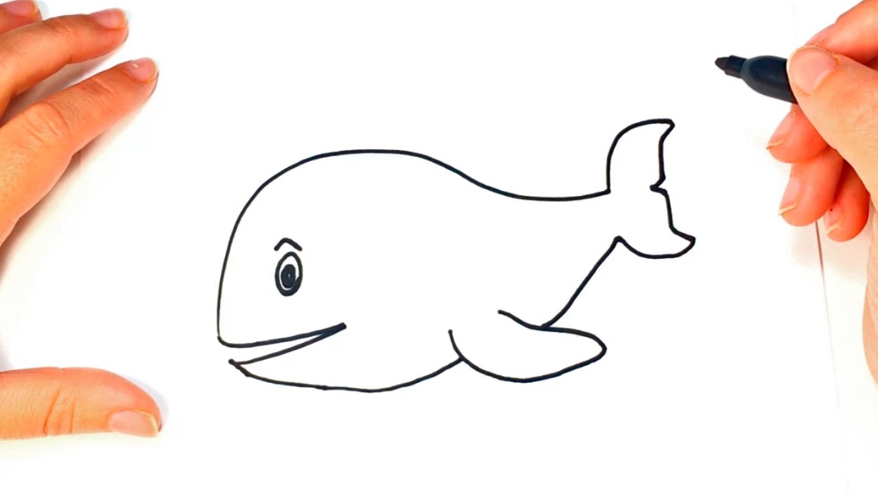1280x720 How To Draw A Whale For Kids Whale Easy Draw Tutorial - Whale Drawing Easy
