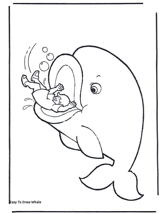 660x880 Easy To Draw Whale Best Coloring Pages Images - Whale Drawing Easy