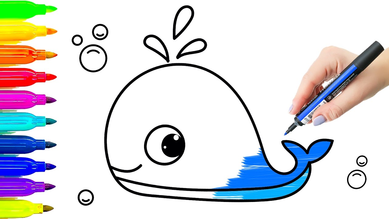 1280x720 Blue Whale Animals Drawing And Coloring For Kids Learning - Whale Drawing For Kids