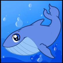 220x220 How To Draw How To Draw A Whale For Kids - Whale Drawing For Kids