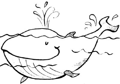 400x281 Whale Watching Howstuffworks - Whale Drawing For Kids