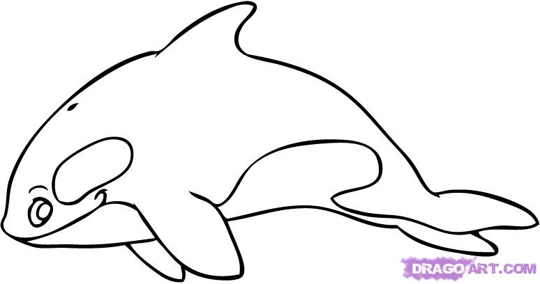 774x408 Draw A Cartoon Killer Whale, Step - Whale Drawing For Kids