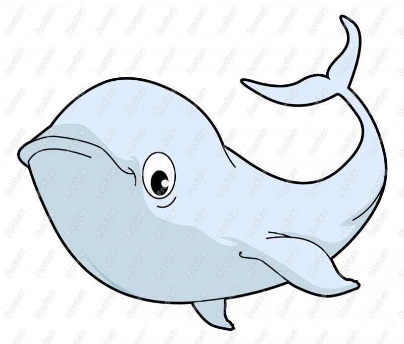 800x681 How To Draw Cute Cartoon Whale Drawing And Coloring For Kids - Whale Drawing For Kids