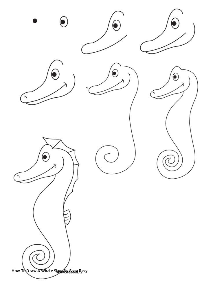 736x981 How To Draw A Whale Step - Whale Drawing For Kids