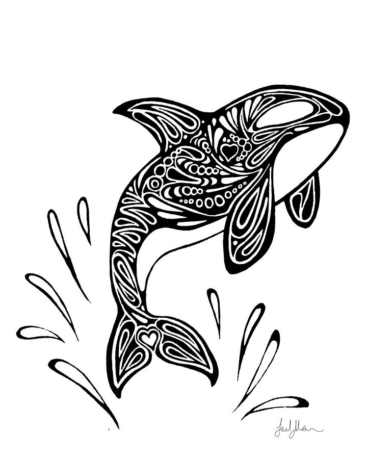 720x900 Orca Whale Drawing - Whale Drawing Pictures
