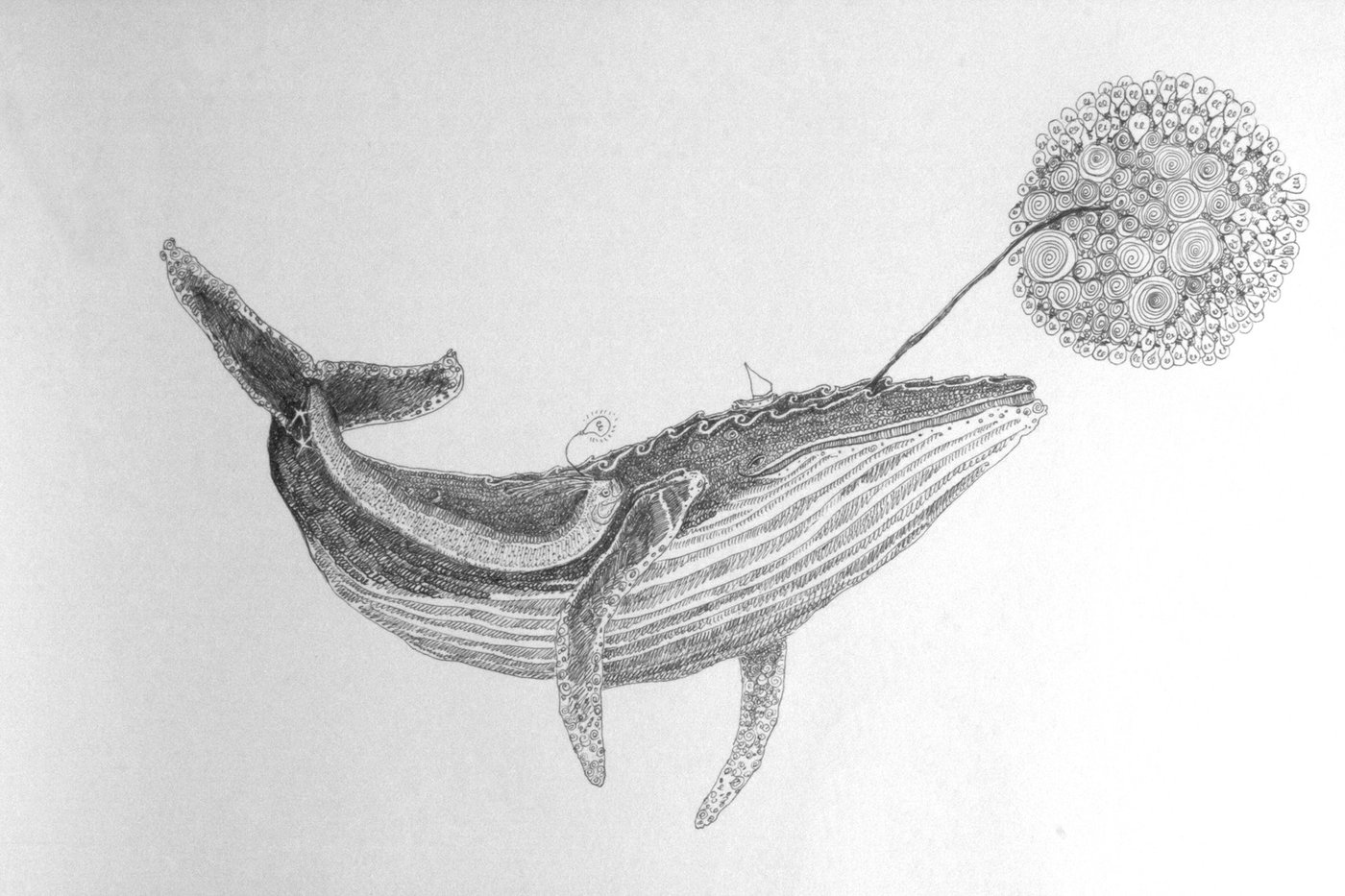 1400x933 sea life art original drawing whale art affordable art buy - Whale Drawing Pictures