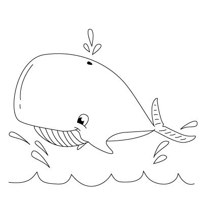 400x400  - Whale Drawing Pictures