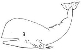 260x160 Different Cartoon Drawings Of Animals - Whale Images Drawings