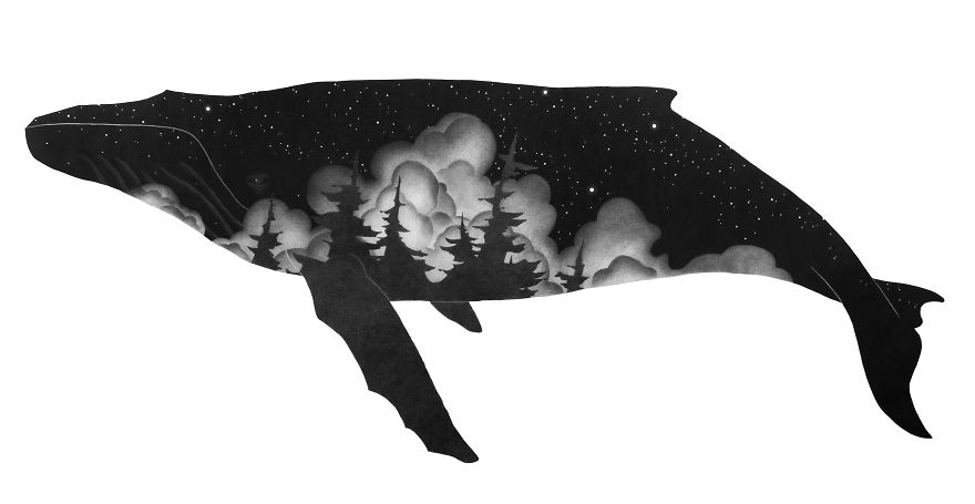 880x455 I Create Large Scale Whale Drawings Using Hundreds Of Pencils As - Whale Images Drawings