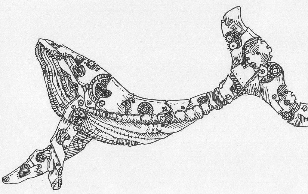 1024x647 Whale Drawing Steampunk For Free Download - Whale Images Drawings