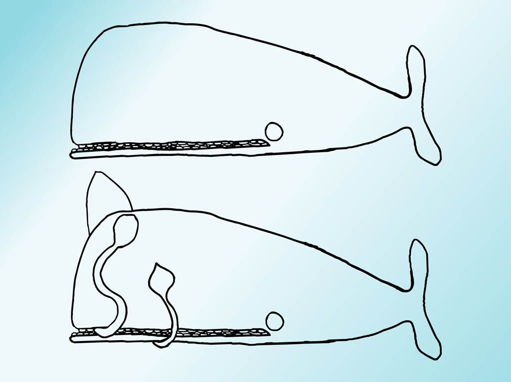 1024x765 Whale Drawings Vector Art Graphics - Whale Images Drawings