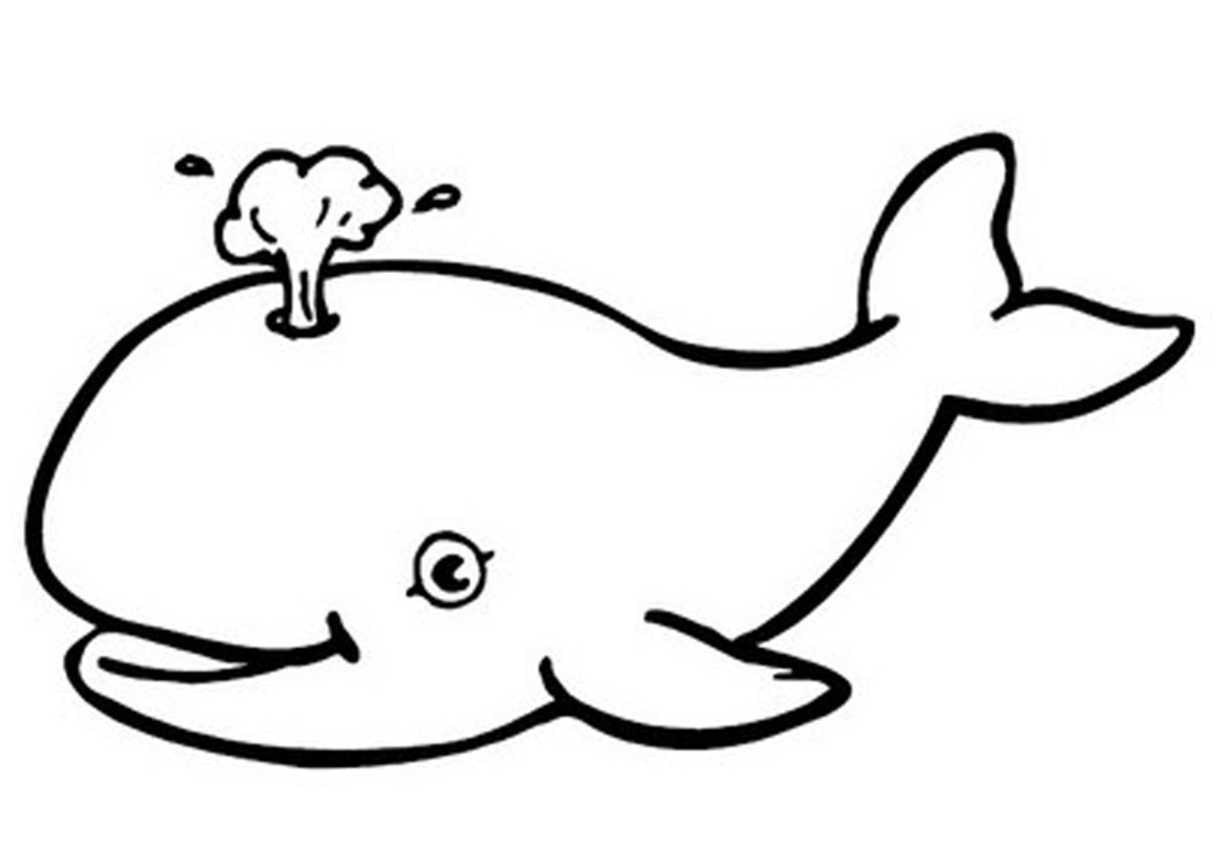 1111x785 Whale Drawing Simple For Free Download - Whale Images Drawings
