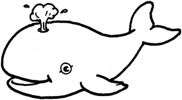600x331 Line Drawing Of A Whale - Whale Line Drawing