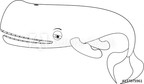 500x291 Cute Cartoon Whale Line Drawing - Whale Line Drawing