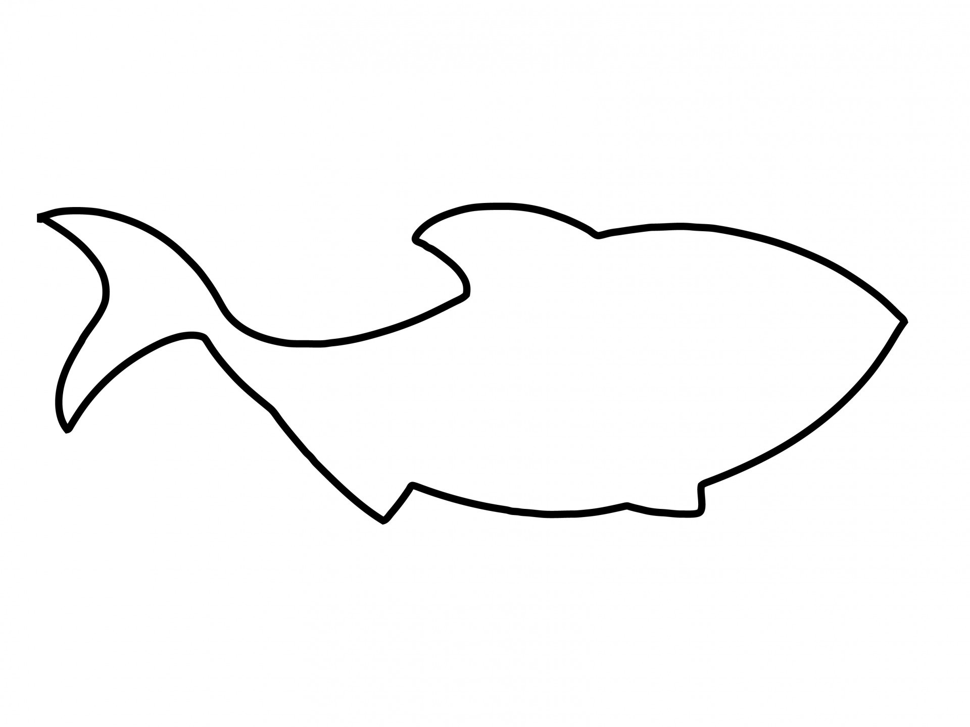 1920x1440 How To Draw A Whale Lovely Outline Of Fish Hola Klonec Webadda - Whale Outline Drawing