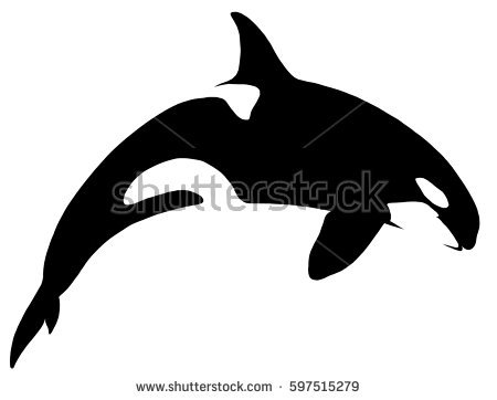 450x362 killer whale outline black white linear paint draw killer stock - Whale Outline Drawing