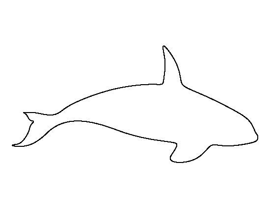 550x425 Killer Whale Pattern Use The Printable Outline For Crafts - Whale Outline Drawing