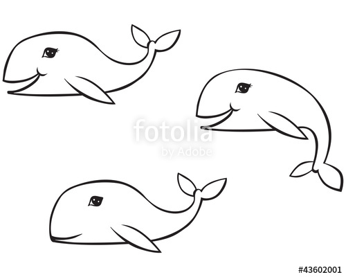 500x400 Outline Drawing Whale Stock Image And Royalty Free Vector - Whale Outline Drawing