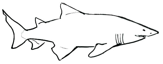 619x245 Shark Drawing Template At Free For Personal Use Small Outline - Whale Outline Drawing