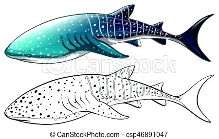 450x286 whale outline doodle animal outline of killer whale illustration - Whale Outline Drawing