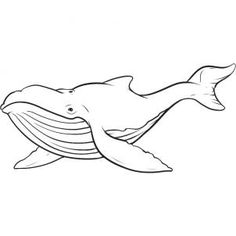 236x236 whale drawings how to draw a sperm whale step whales - Whale Outline Drawing