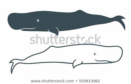 450x290 Whale Outline - Whale Outline Drawing
